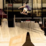 module-skate-Madneom-envie-urvaine-niort-2014