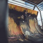 SKATE-WALL-CROSS-DA-CRUZ-SKATEPARK-MADNEOM-HELLFEST-2015