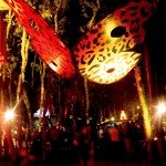 PAPILLON LEOPARD NUIT FESTIVAL LA MOTTE 2015