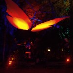 PAPILLON SUSPENDU LUMINEUX FESTIVAL DE LA MOTTE 2015