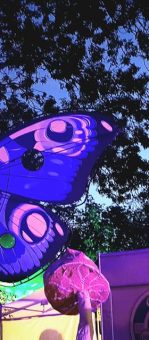 papillon bleu madneom festival tribal elek 2019