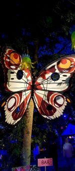 papillon madneom festival tribal elek 2019