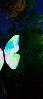 papillon mapping madneom festival tribal elek 2019