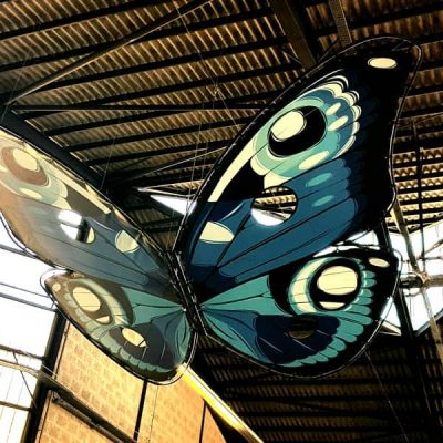 salon passion maison 2019 papillon bleu madneom